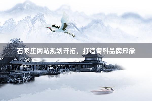 石家庄网站规划开拓，打造专科品牌形象